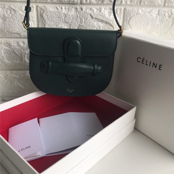 replica celine saddle bag - Image 5