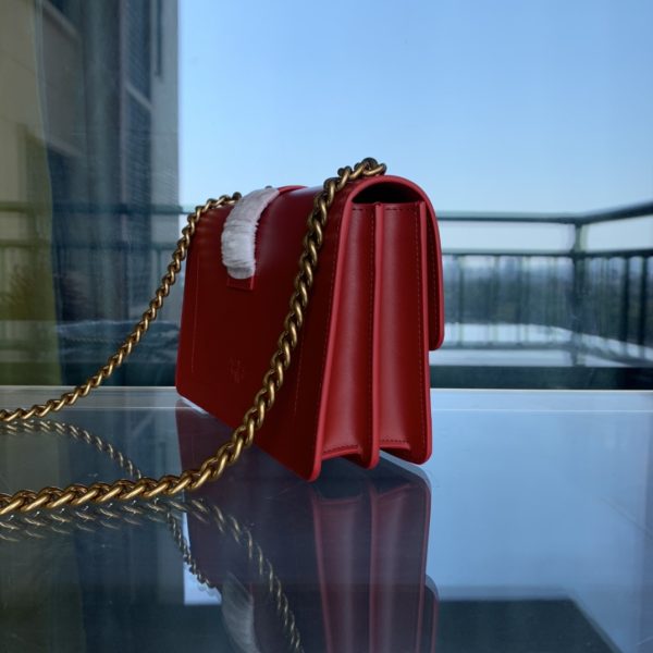 Pinko Swallow bag 2021 autumn and winter new classic leather chain shoulder handbag Bacchus bag E - Image 4