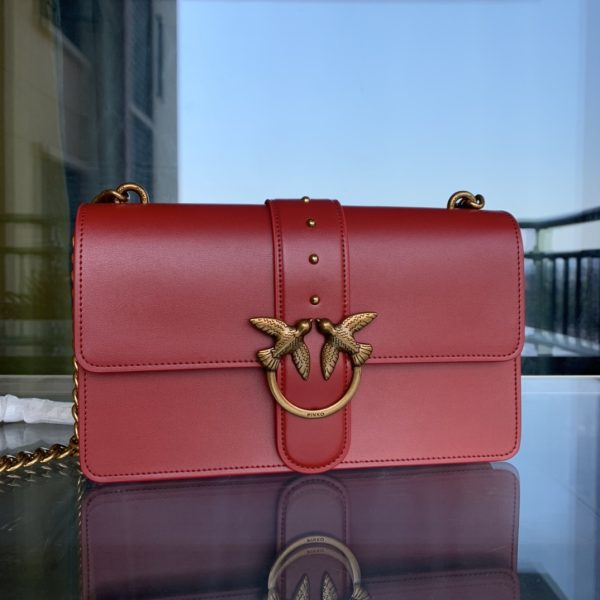 Pinko Swallow bag 2021 autumn and winter new classic leather chain shoulder handbag Bacchus bag E - Image 5