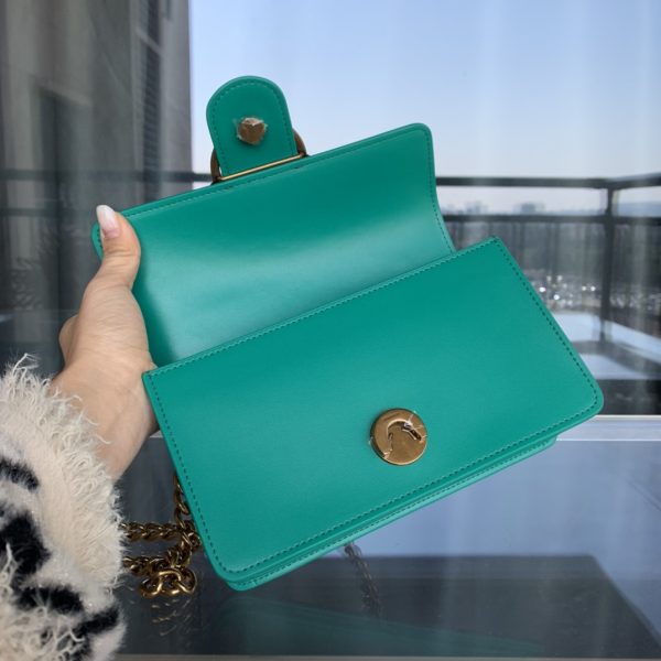 Pinko Swallow bag 2021 autumn and winter new classic leather chain shoulder handbag Bacchus bag F - Image 8